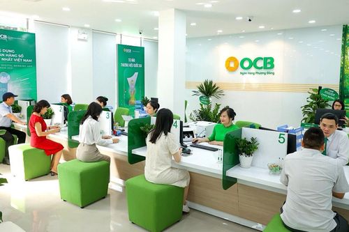 Ngân hàng OCB: Kỳ vọng tăng trưởng tín dụng đạt 14%, cổ phiếu OCB tăng 'nóng'
