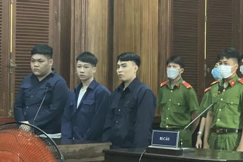 Giấu ma túy trong thú nhồi bông nhưng không thoát