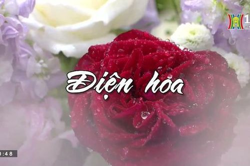 Điện hoa| Nhịp sống Hà Nội | 6/9/2023