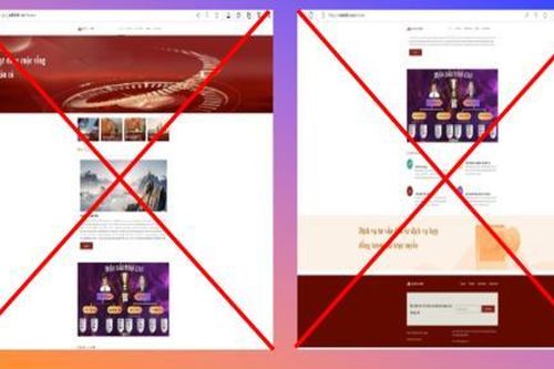 Nghe dụ dỗ đầu tư dầu thô qua 'Quỹ MBK', nhiều người bị lừa tiền tỷ