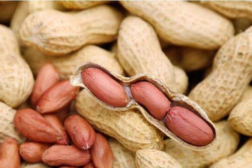Loại hạt được mệnh danh là 'nhân sâm', chuyên gia khuyên nên ăn mỗi ngày