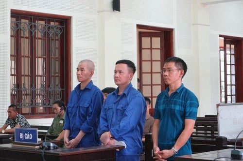 Lừa mua đất đấu giá, sang tên, tách bìa để chiếm đoạt hàng tỷ đồng