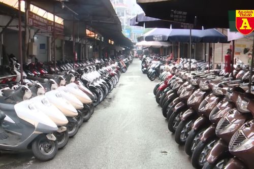 Dân buôn xe cũ loay hoay tìm cách bán xe biển số định danh