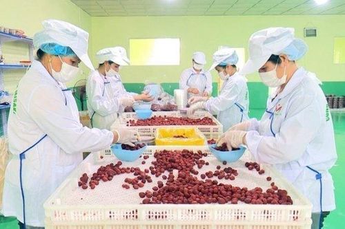 Bắc Kạn: Phát triển các khu, cụm công nghiệp để thúc đẩy nền kinh tế