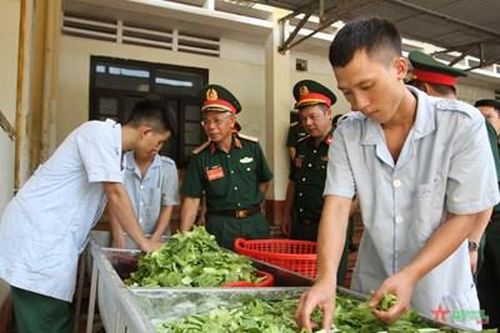 Quân khu 1 kiểm tra toàn diện công tác hậu cần tại Sư đoàn 3
