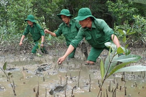 Phát triển thị trường tài chính xanh và tín chỉ carbon: Chậm triển khai, cơ hội sẽ 'trôi' mất