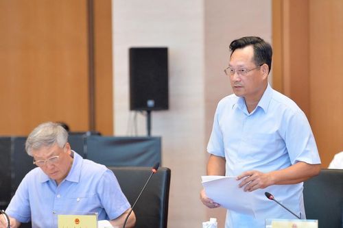 Dự thảo Luật Tổ chức TAND mới chỉ đổi tên 'cơ học' các tòa án
