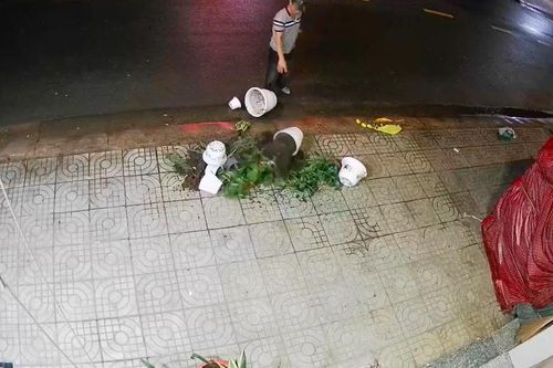 Gia đình bán vải bị 'khủng bố' bằng chậu cây, bình thủy tinh