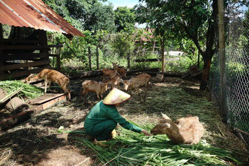 Nông dân vùng biên đoàn kết phát triển kinh tế