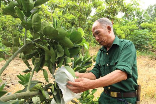 Cựu chiến binh nêu gương sáng giữa đời thường