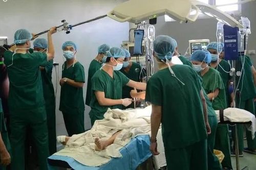 Gần 200 người thực hiện ghép thận cho 2 bệnh nhân từ ca hiến tạng