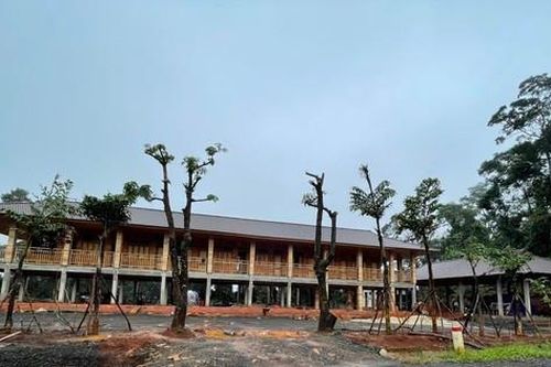 Đất rừng Đắk Nông bị lấn chiếm, đề nghị kiểm điểm lãnh đạo công ty lâm nghiệp