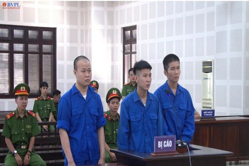 Trộm cáp quang rồi đăng lên mạng bán, 3 bị cáo lãnh án