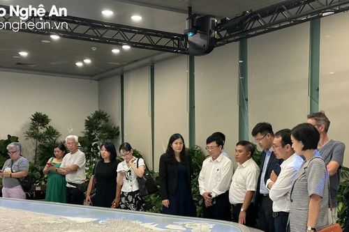 Lãnh đạo tỉnh Nghệ An làm việc với Cơ quan Phát triển doanh nghiệp Singapore (ESG)