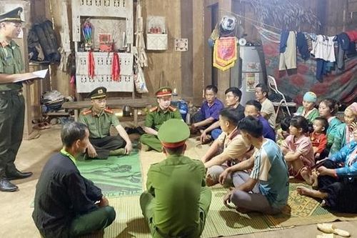 Cây Sa Mu giữa đại ngàn