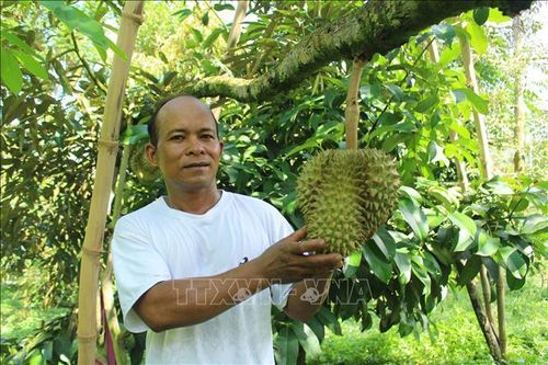 Giải pháp giảm nghèo bền vững ở huyện miền núi Khánh Sơn