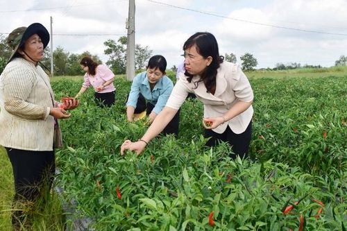Trà Vinh: Nâng cao đời sống vật chất, tinh thần cho phụ nữ dân tộc thiểu số