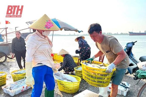 Thúc đẩy phát triển dịch vụ hậu cần nghề cá