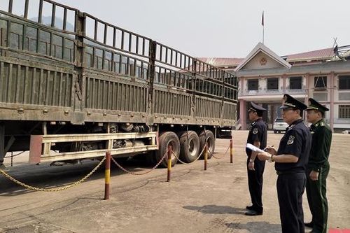 Đề xuất vay vốn WB nâng cấp 3 quốc lộ hơn 8.300 tỷ đồng, thúc đẩy giao thương với Lào, Trung Quốc