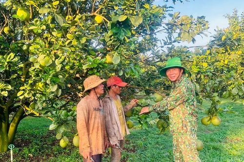 Người cao tuổi nêu gương phát triển kinh tế