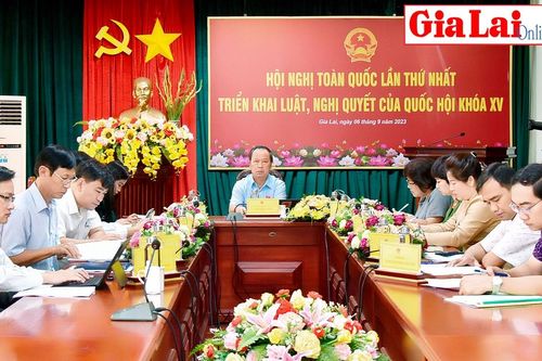 Chủ động và quyết liệt triển khai thi hành luật, nghị quyết của Quốc hội
