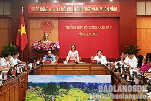 Thường trực HĐND tỉnh: Họp thường kỳ tháng 9/2023 và họp phiên chất vấn về tình hình và các giải pháp nâng cao năng suất, chất lượng, giá trị kinh tế hoa hồi trên địa bàn tỉnh