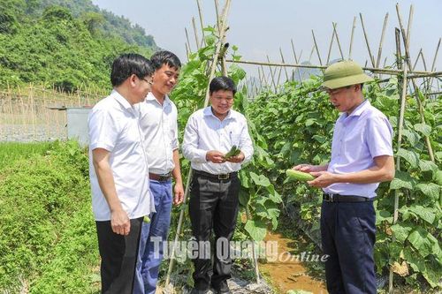 Bảo vệ cán bộ dám nghĩ, dám làm, dám chịu trách nhiệm