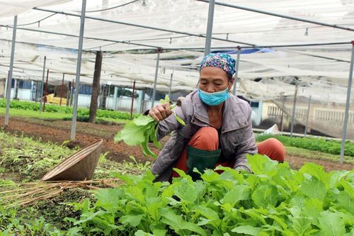 Nâng cao kiến thức về kinh tế tập thể, hợp tác xã