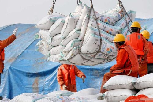 Bloomberg: Giá phân ure tăng vọt, Trung Quốc yêu cầu tạm dừng xuất khẩu