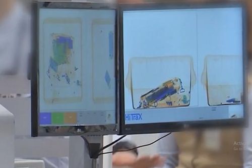 Xác minh vụ tiếp viên nghi vận chuyển tinh dầu cần sa