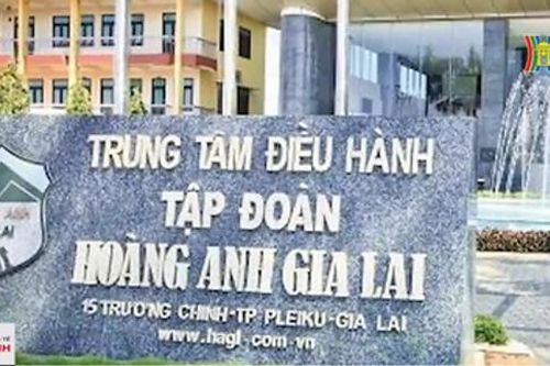 Hoàng Anh Gia Lai lỗ lũy kế gần 3.000 tỷ