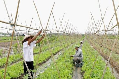 Gần 200 hộ nông dân, hợp tác xã huyện Thường Tín tham gia diễn đàn nhịp cầu nhà nông