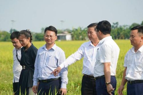 Liên kết Ứng Hòa với các trung tâm du lịch trọng điểm của Hà Nội
