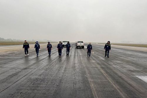 Ghi nhận kết quả khả quan trong kiểm soát vật ngoại lai gây nguy hiểm cho máy bay tại Nội Bài
