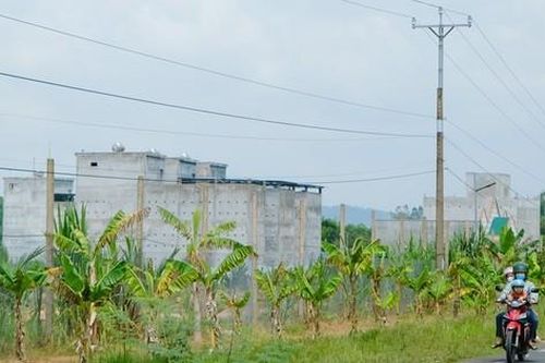 Nuôi chim yến mang lại thu nhập tiền tỉ ở Lâm Đồng