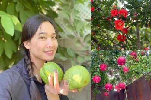 Thích mắt vườn cây trĩu quả trong biệt thự của Dương Mỹ Linh