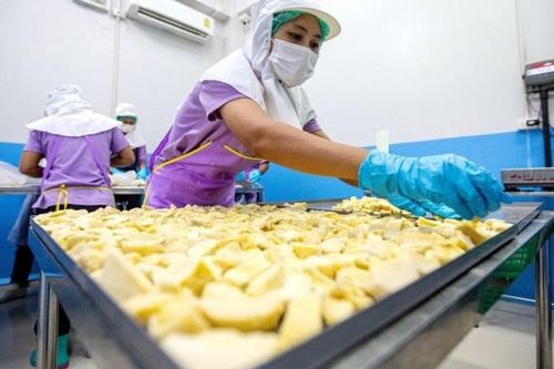 Đông Nam Á kiếm bộn tiền nhờ nhu cầu sầu riêng của Trung Quốc