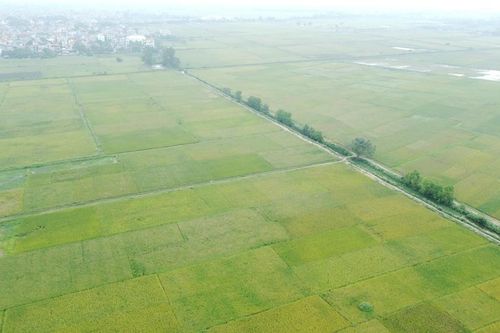 Hà Nội chuyển mục đích sử dụng gần 300ha đất nông nghiệp