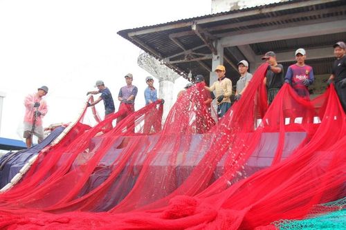Xây dựng Cà Mau thành trung tâm kinh tế biển, chế biến thủy sản và năng lượng tái tạo