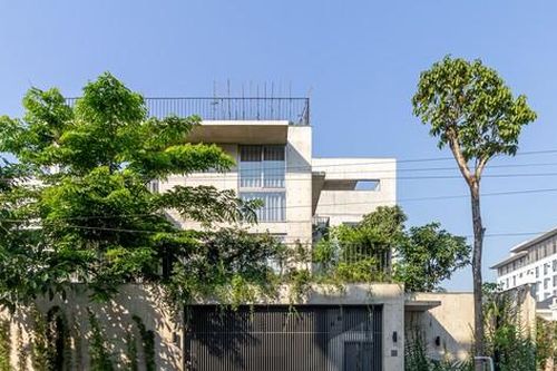 Ngắm ngôi nhà ở Bắc Giang làm hoàn toàn bằng bê tông