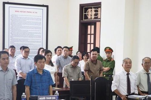 Kỳ án gỗ trắc ở Quảng Trị: Tòa bác đơn kiện Tổng Cục trưởng Hải quan của doanh nghiệp