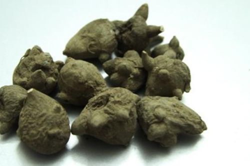 Người dân không nên dùng củ, quả lạ tránh ngộ độc thực phẩm