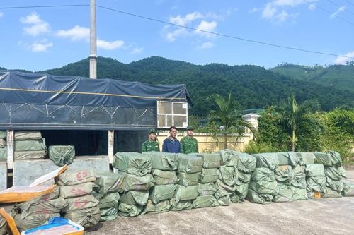 Phát hiện, thu giữ hơn 5 tấn nầm lợn đông lạnh
