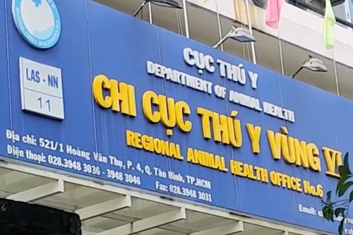 Khởi tố Chi Cục trưởng Chi cục Thú y vùng VI và các thuộc cấp