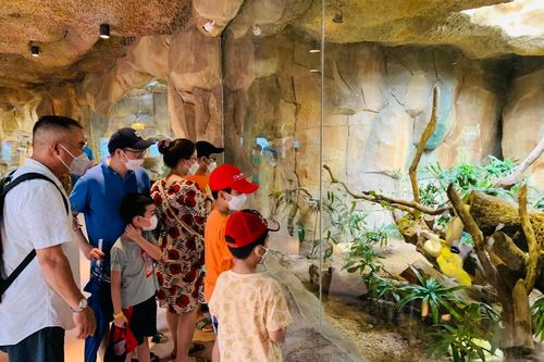 Du lịch Kiên Giang cần sản phẩm du lịch tỏa sáng và đặc trưng để hút khách