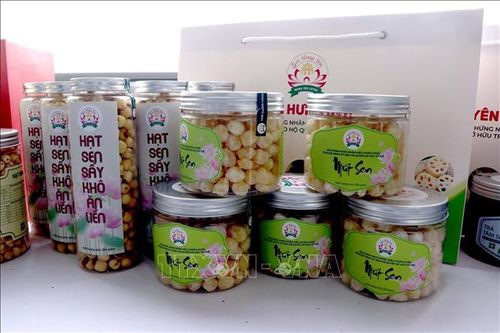 'Sen Hưng Yên' được cấp chứng nhận đăng ký nhãn hiệu