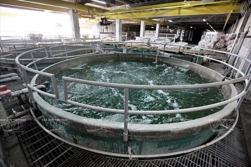 Nhiều khu vực tại TP Hồ Chí Minh bị mất nước vào cuối tuần