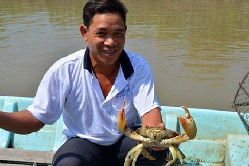 Cà Mau: Phấn đấu đến năm 2030, sản lượng cua đạt hơn 29 nghìn tấn