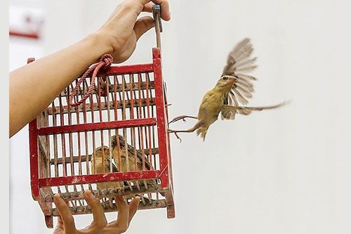 Đã đến lúc xây dựng tiêu chí cho lễ hội truyền thống
