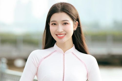 Profile Phương Nhi tại Hoa hậu Quốc tế gây tranh cãi, netizen có quá khắt khe?